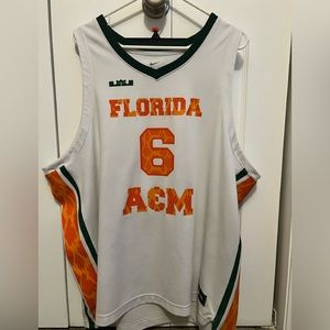 LeBron James Florida A&M jersey